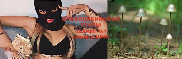 стафф Балахна