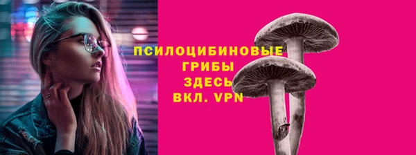 стафф Балахна