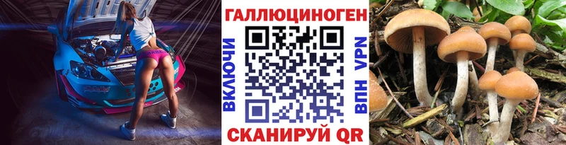 Галлюциногенные грибы мухоморы  OMG рабочий сайт  Западная Двина 